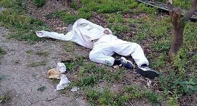 Adana'da parmağını arı sokan arıcı hayatını kaybetti