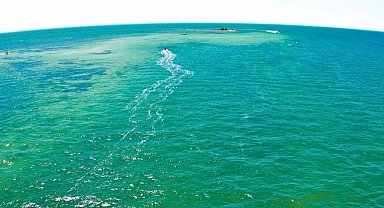 Araştırma: Dünya'nın okyanusları bir zamanlar yeşildi