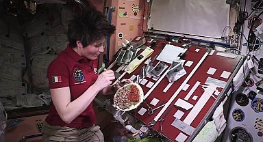 Araştırma: Uzayda hücrelerden gıda üretimi mümkün olabilir