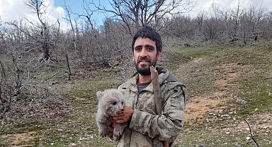 Ayı yavrusunu köpeklerin saldırısından kurtarıp, doğaya bıraktılar