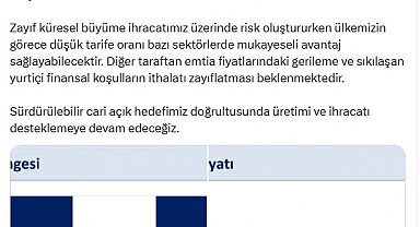 Bakan Şimşek: Üretimi ve istihdamı desteklemeye devam edeceğiz