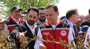 Bakan Yardımcısı Gizligider: 36 bin 738 üreticimiz don zararına uğradı