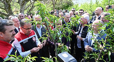Bakan Yardımcısı Gümen: İznik'te 63 bin dekar alan zirai dondan etkilendi
