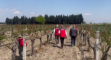 Bakan Yumaklı: Tarihimizin en büyük 'zirai don' olaylarından birini yaşadık