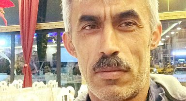 Başına dal düşen ağaç kesim işçisi öldü