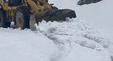 Batman'da kardan kapanan 65 yerleşim yerinden 61'inin yolu açıldı