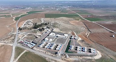 Batman'da toplatılan başıboş sokak hayvanları barınağa yerleştirildi