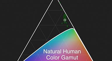 Bilim insanları, doğal yollarla algılanamayan yeni bir renk keşfetti