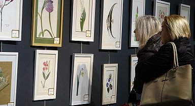 Bitkiler tuvale yansıdı; 'Doğa-Renk-Fırça' sergisi açıldı