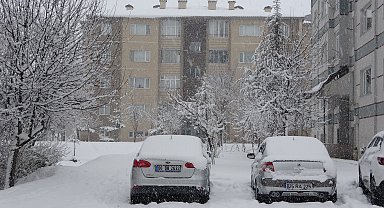 Bitlis'te kardan kapanan 60 köy yolu ulaşıma açıldı