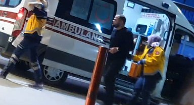 Bursa'da sokak köpeğine çarparak savrulan hafif ticari aracın sürücüsü yaralandı