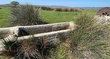 Çanakkale'de, İngiliz ve Fransızlar arkeolojik kazı yapıp, buldukları eserleri ülkelerine götürmüş