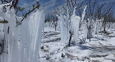 Çiftçilerden 'zirai don'a karşı 'Spring' sistemi