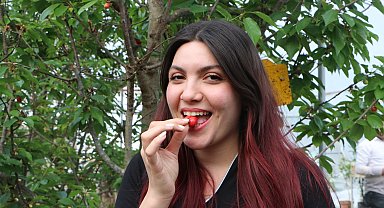 Çukurova'da kiraz dondan etkilenmedi