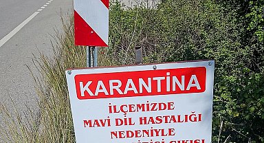 Datça'da 'mavi dil hastalığı' karantinası