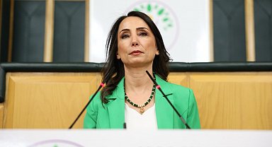 DEM Parti'li Hatimoğulları: Silahsızlanma sürecinin başarıyla sonuçlanması için koşulların sağlanması elzemdir