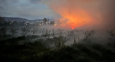 Düzce'de fındık bahçelerinde 'don ve buzlanma' ya karşı mücadele başlatıldı