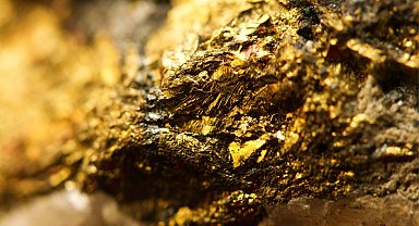 Fransız çiftçinin tarlasında 150 ton altın bulundu