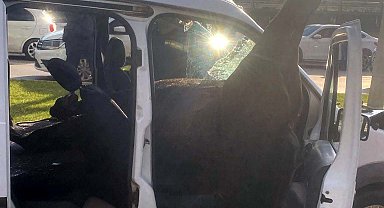 Gaziantep'te , yola fırlayan at polis aracına girdi