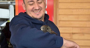 İş yerine giren ebabil kolunu bırakmadı, veteriner müdahalesiyle ayrıldı