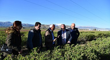 Isparta'da 'zirai don' etkisi; elma, gül, kiraz ve kayısıda kayıp büyük