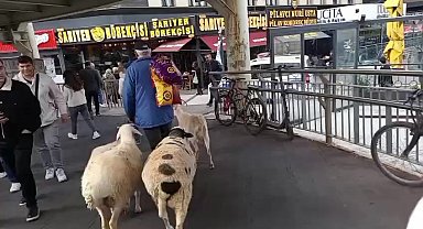 İstanbul - Küçükçekmece'de bir kişi, 4 koyunu ile yürürken görüntülendi