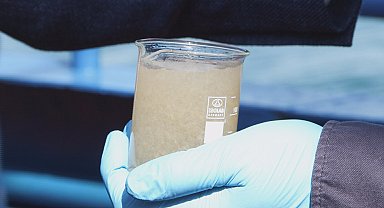 İstanbul - Müsilaj Bilim ve Teknik Kurulu, Marmara açıklarında incelemelerde bulundu