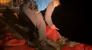 Kaçak midye avcılığına 37 bin lira ceza