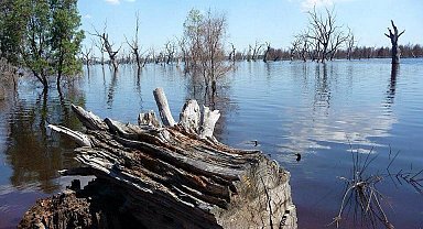 Kenya'da 6 kişi kolera salgınından hayatını kaybetti