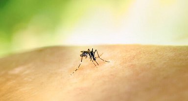 Kolombiya Cumhurbaşkanı Petro'dan 'sarıhumma aşısı' çağrısı