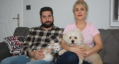 Köpek yavru kediye annelik yapıyor