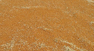 Mardin'de 137 bin tonluk buğday vurgununda 9 tutuklama