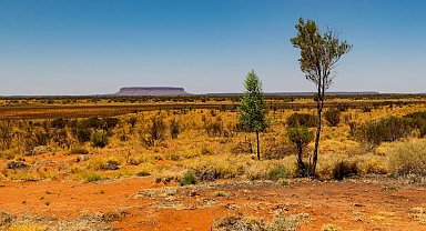 Mart 2025, küresel çapta en sıcak ikinci mart ayı oldu