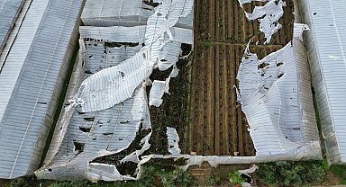 Mersin'de seraları hortum vurdu