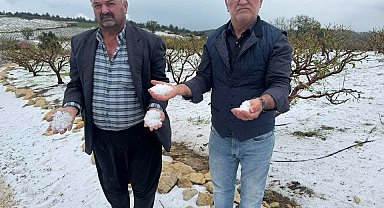 Mersin'de tarım ürünlerini dondan sonra dolu vurdu