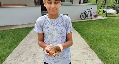 Mezarlıkta bulduğu yavru sincabı biberonla besliyor