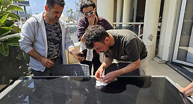 Milleyha'da kuşlara yapıştırıcıyla 'ölüm tuzağı'