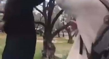 Muğla'da 13 yaşındaki kız öğrenci arkadaşını darbetti; o anlar kamerada