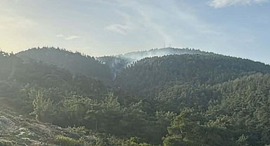 Muğla'da ormanlara giriş 1 Mayıs'tan itibaren yasak