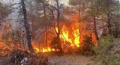 Nepal'de orman yangını: 4 kişi hayatını kaybetti