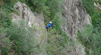 Öğretmen, halatlarla indiği 400 metrelik kayalıklardan ot topladı
