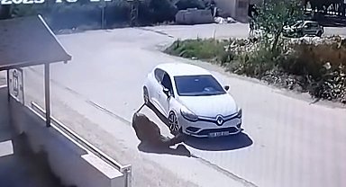 Otomobiliyle eşeğe kasıtlı olarak çarpan sürücünün ehliyetine el konuldu