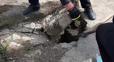 Rögara düşen yavru ördeği itfaiye kurtardı