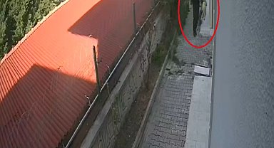 Sahiplendiği köpekleri evde parçalayıp, öldürdüğü iddia edilen doktor tutuklandı; vahşetin bir bölümü kamerada