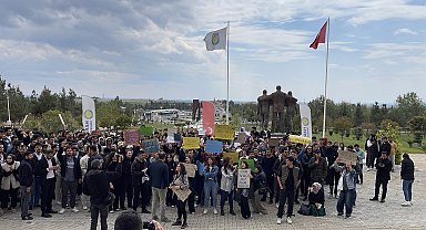 Şanlıurfa'da üniversite öğrencilerinden başıboş köpek eylemi