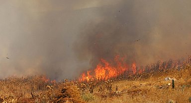 Sazlık yangınları ekosisteme zarar veriyor