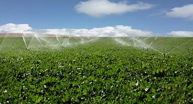 Sukkar Şeker, 1 milyar 617 milyon TL pancar bedeli ödedi