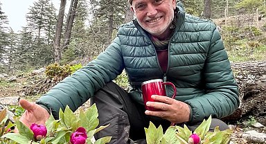 Toros Dağları'nda şakayık zamanı