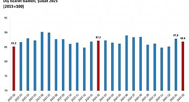 TÜİK: Dış ticaret haddi şubatta azaldı