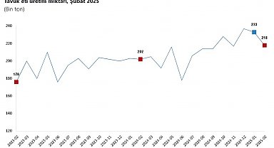 TÜİK: Tavuk eti, yumurta ve içme sütü üretimi şubatta azaldı